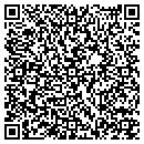 QR code with Baotian Corp contacts