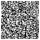 QR code with Public Utility Consultant contacts