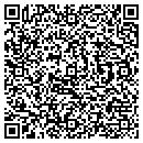 QR code with Public Works contacts
