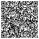 QR code with Precision Auto Lab contacts