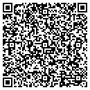 QR code with Carpenter Dirt Work contacts
