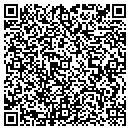 QR code with Pretzel Works contacts