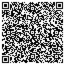 QR code with Central Data Storage contacts