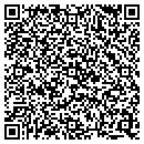 QR code with Public Storage contacts
