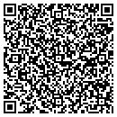 QR code with Pullam Paint & Body contacts