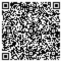 QR code with Shell contacts