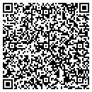 QR code with Pyramind contacts