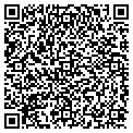 QR code with Wigit contacts