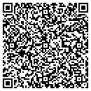 QR code with Premier Image contacts