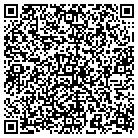 QR code with C L S Consulting Services contacts