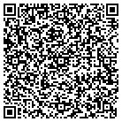 QR code with Public Safety Department contacts