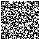 QR code with Psionic Software Inc contacts
