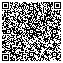QR code with Castillos Painting Co contacts