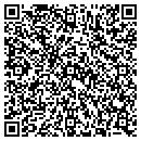 QR code with Public Storage contacts