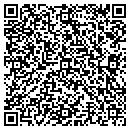 QR code with Premier Telecom LLC contacts