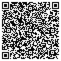 QR code with Cellar contacts