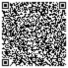 QR code with Blue American Ice Co contacts