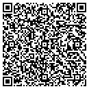 QR code with Precise Auto Care Inc contacts