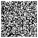 QR code with Carver Center contacts