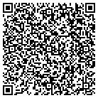 QR code with Pulsar Communications contacts