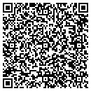 QR code with Carpet Place contacts