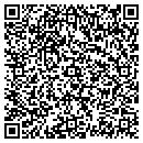 QR code with Cybershepherd contacts