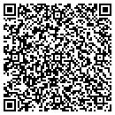 QR code with Camarillo Consulting contacts