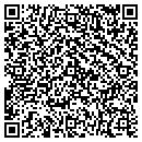 QR code with Precious Image contacts