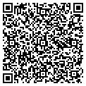 QR code with E-Chex contacts
