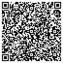 QR code with Pulseworks contacts