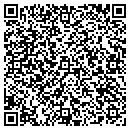 QR code with Chameleon Paintworks contacts
