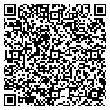 QR code with AIG contacts