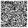 QR code with Modis contacts