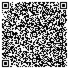 QR code with Pump It Up Of Arlington contacts