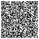 QR code with Cleaning Palace Inc contacts