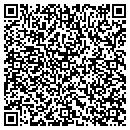 QR code with Premium Pets contacts