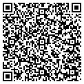 QR code with AMF contacts