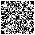 QR code with Magflux contacts
