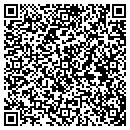 QR code with Critical Path contacts