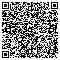 QR code with Dodi contacts