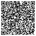 QR code with P M A contacts