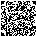 QR code with Ronies contacts