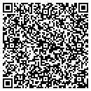 QR code with Precision Motors contacts