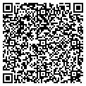 QR code with V G C contacts