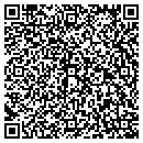 QR code with Cmcg Esolutions LLC contacts