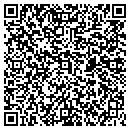 QR code with C V Systems Corp contacts