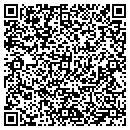 QR code with Pyramid Systems contacts