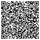 QR code with Problem Solvers Inc contacts