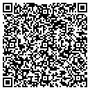 QR code with Pro Audio Video Systems contacts