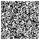 QR code with Pulido Air Duct & Chimny contacts